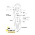 interaktywne-pioro-kakadu (3)-min.jpg
