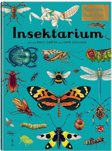 Insektorium muzeum owadów.jpg